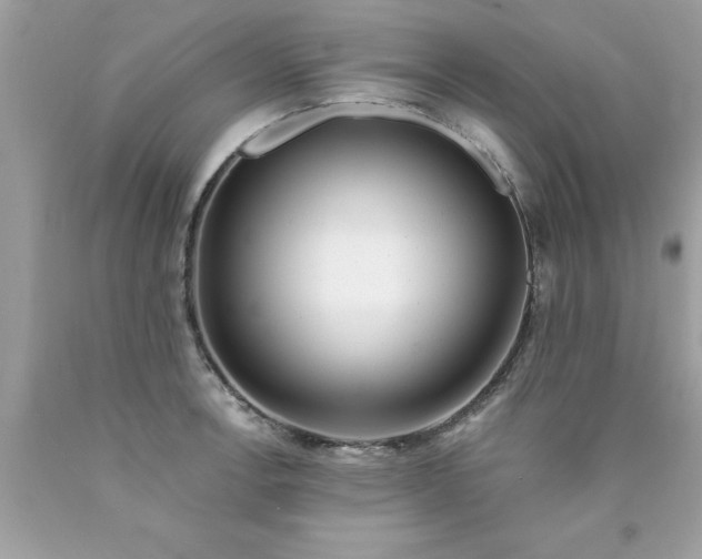 X0000090461138200707272231