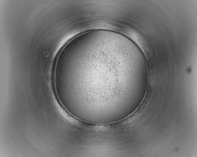 X0000090461139200707272231