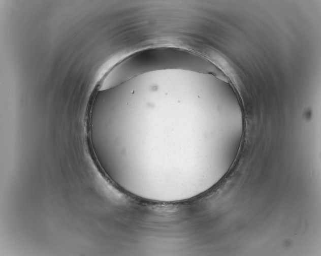 X0000090461141200707272231