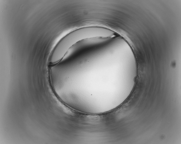 X0000090461142200707272231