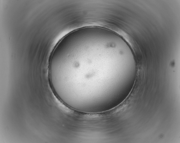 X0000090461143200707272231