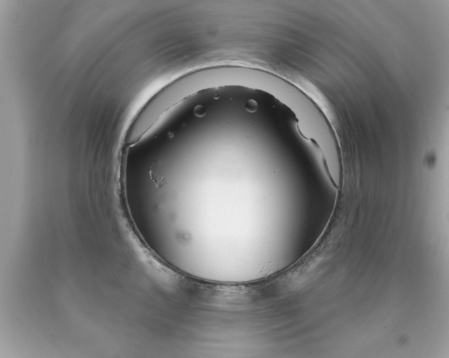 X0000090461144200707272231