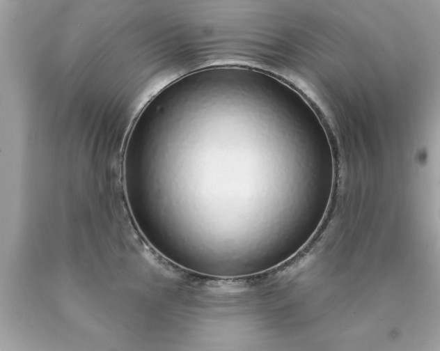 X0000090461145200707272231