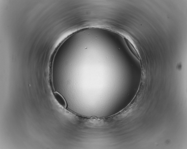 X0000090461147200707272231