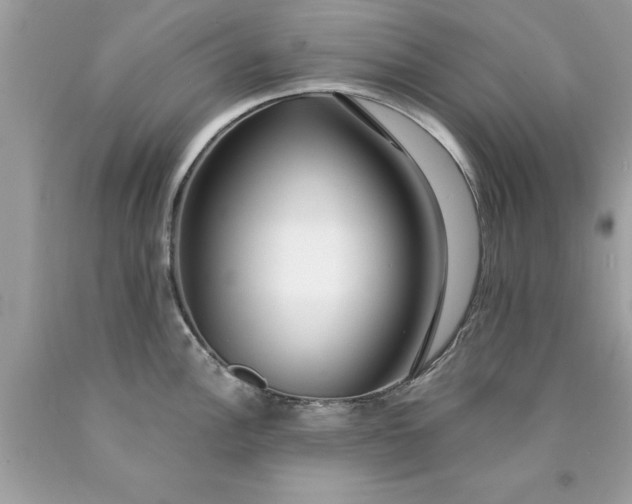 X0000090461148200707272231