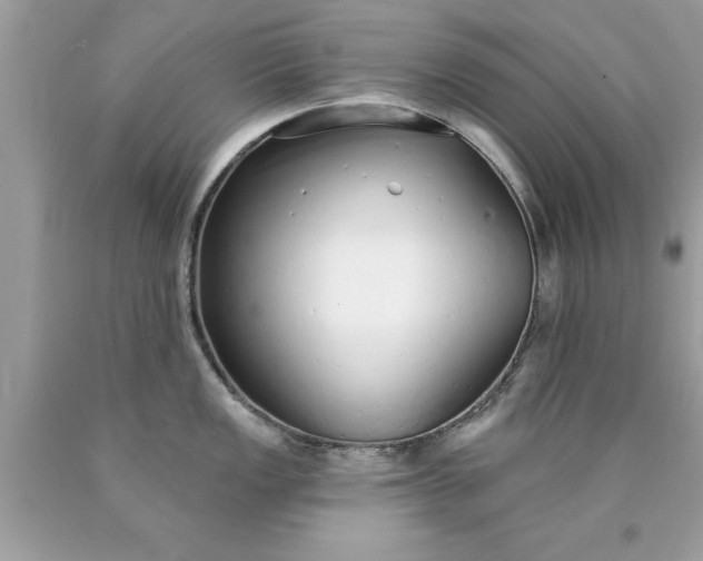 X0000090461149200707272231