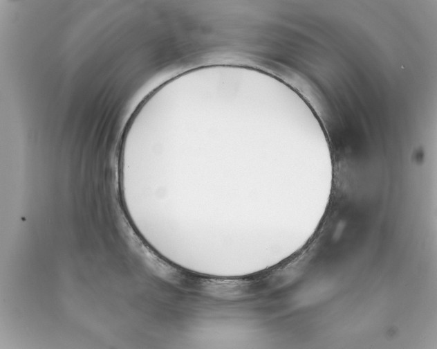X0000090461150200707272231
