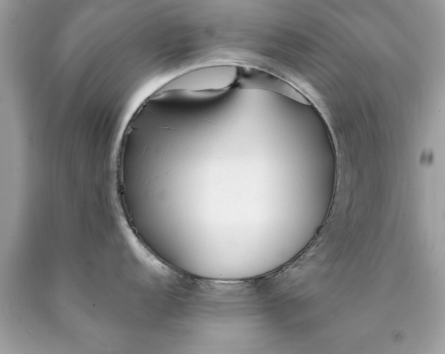 X0000090461152200707272231