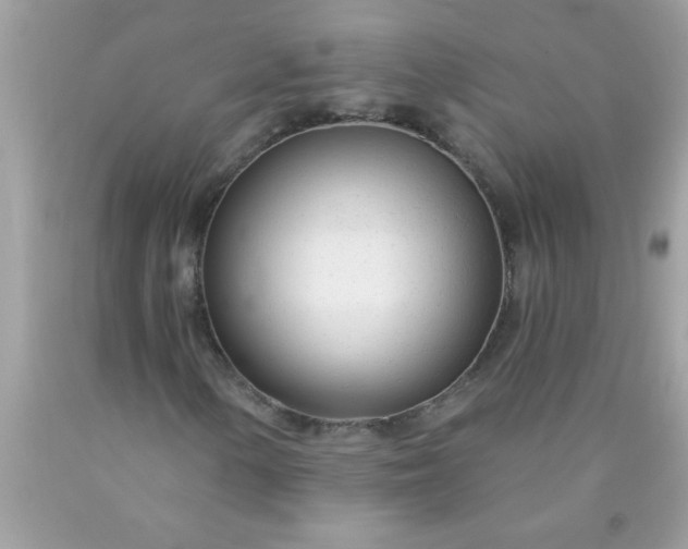 X0000090461154200707272231