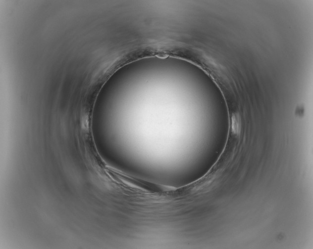 X0000090461155200707272231