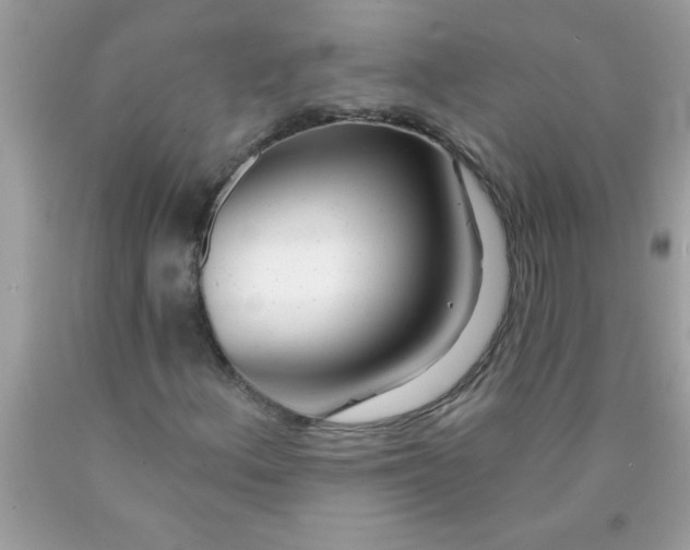X0000090461156200707272231