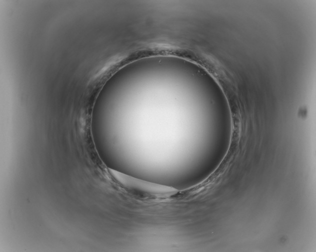 X0000090461157200707272231