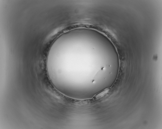 X0000090461159200707272230