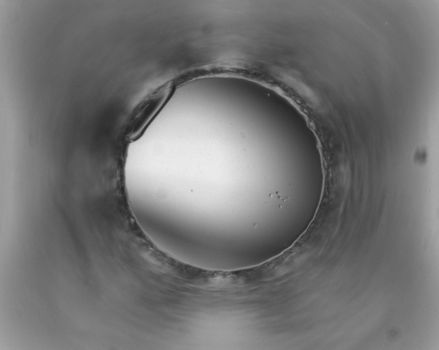X0000090461160200707272230