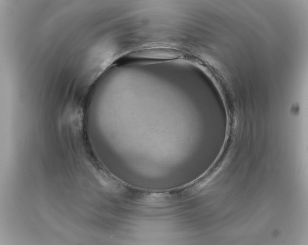 X0000090461161200707272230