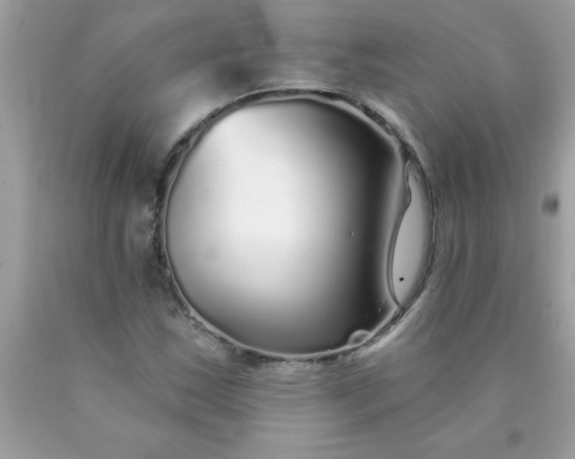 X0000090461163200707272230