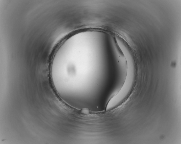 X0000090461164200707272230