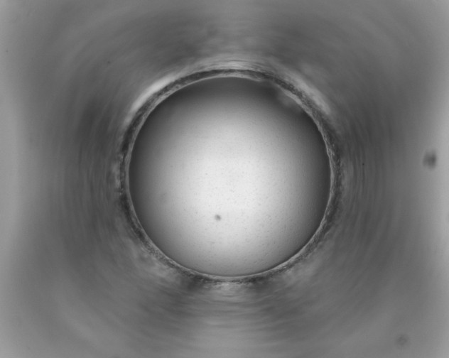 X0000090461166200707272230