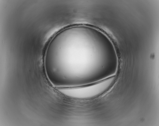 X0000090461167200707272230