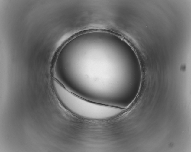 X0000090461168200707272230