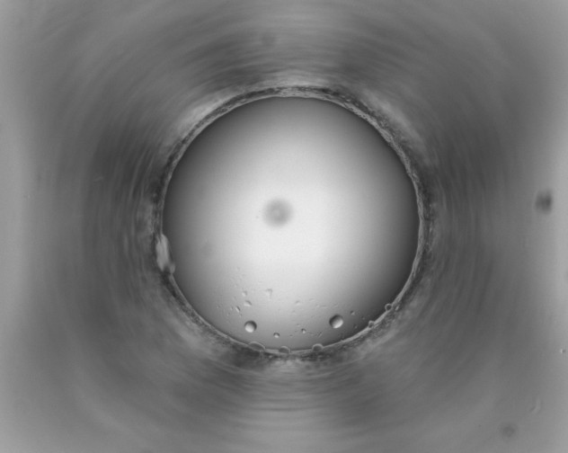 X0000090461169200707272230