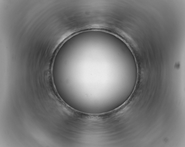 X0000090461170200707272230