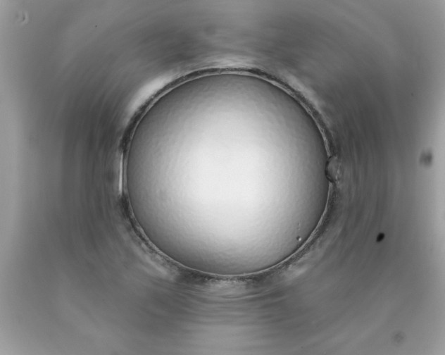 X0000090461171200707272230