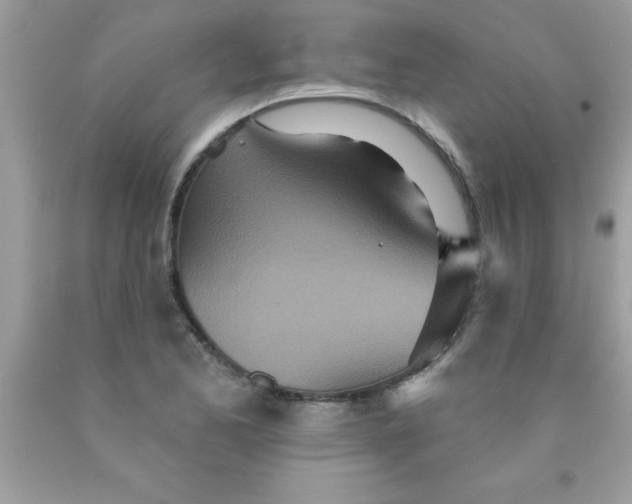 X0000090461173200707272230