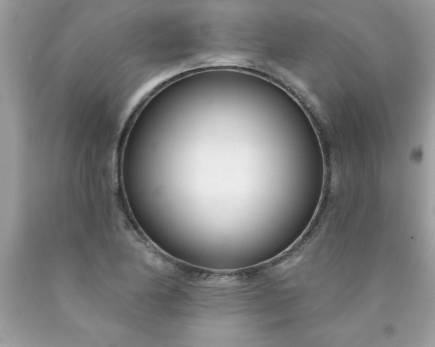 X0000090461174200707272230