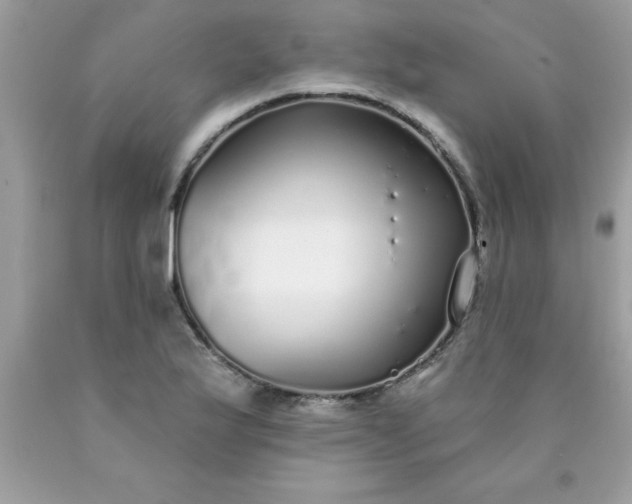 X0000090461175200707272230
