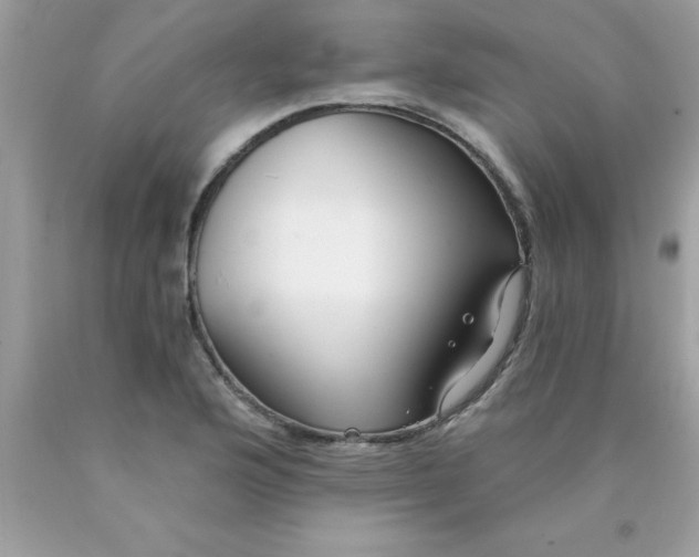 X0000090461176200707272230