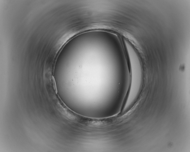 X0000090461177200707272230