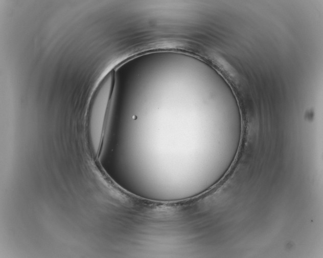 X0000090461178200707272230