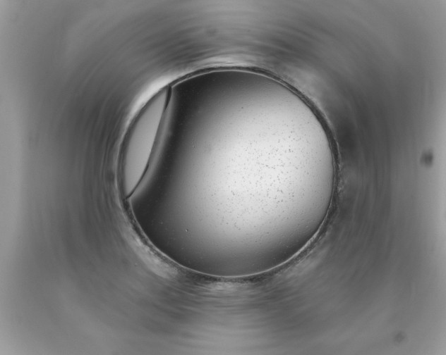 X0000090461179200707272230