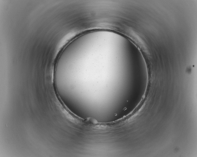 X0000090461180200707272230
