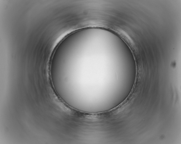 X0000090461182200707272230