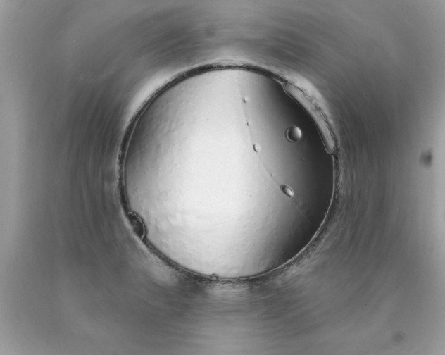 X0000090461183200707272230
