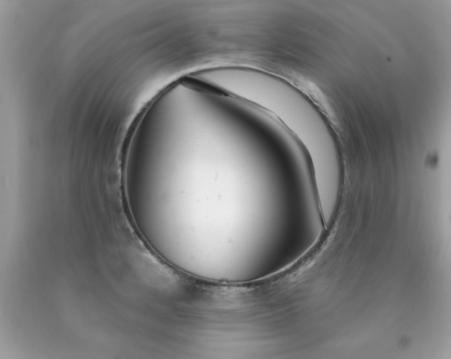 X0000090461184200707272230