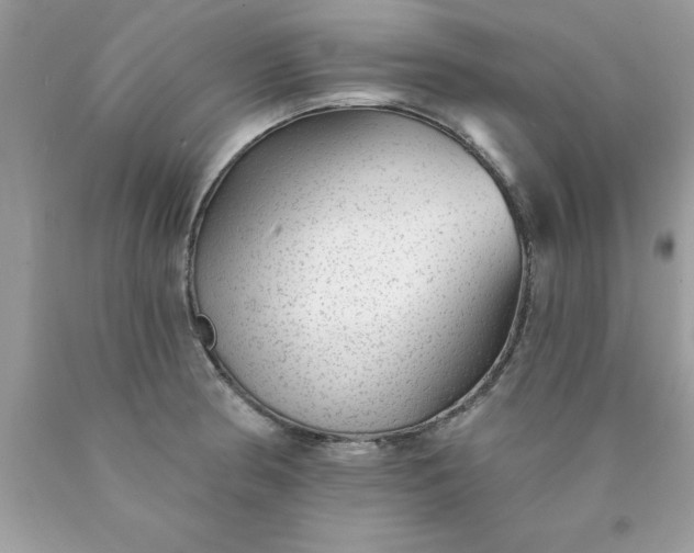 X0000090461186200707272230
