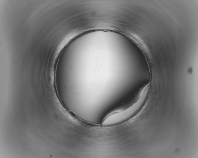 X0000090461188200707272230