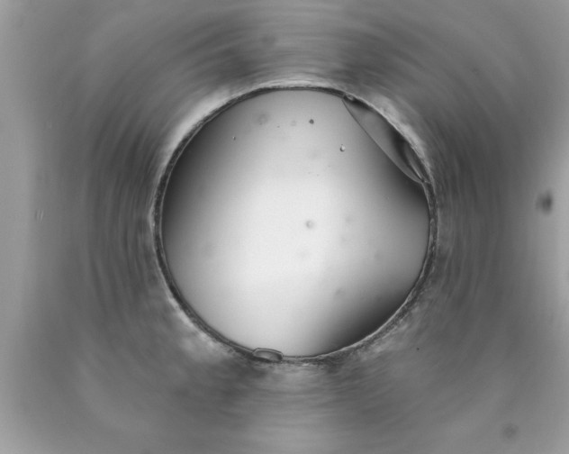 X0000090461189200707272230