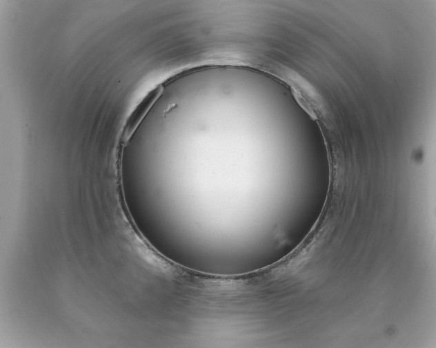 X0000090461192200707272230