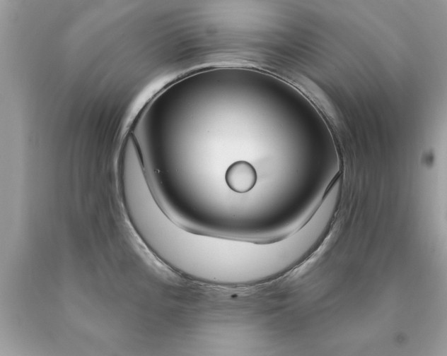 X0000090461196200707272230