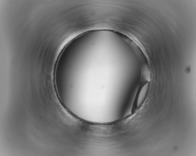 X0000090461197200707272230