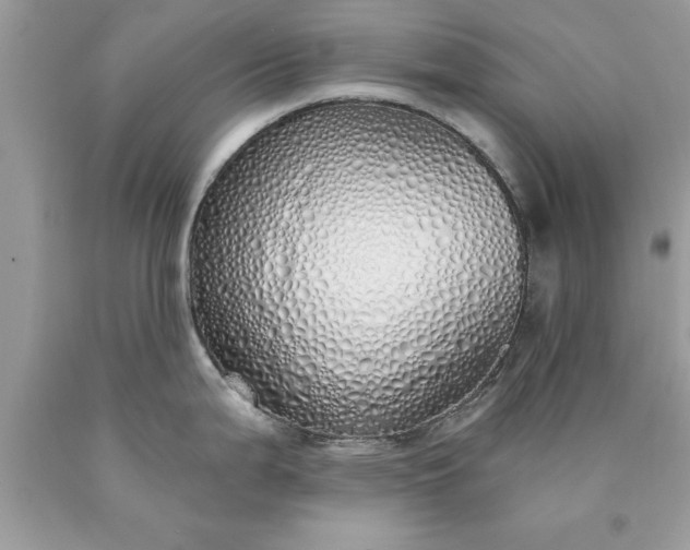 X0000090461199200707272230