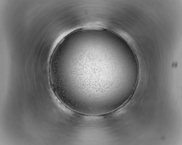 X0000090461200200707272230