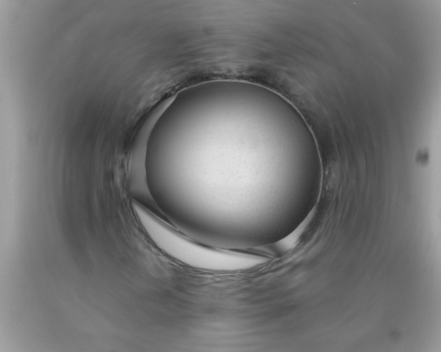 X0000090461202200707272229