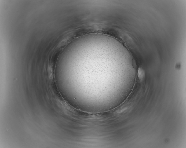 X0000090461203200707272229