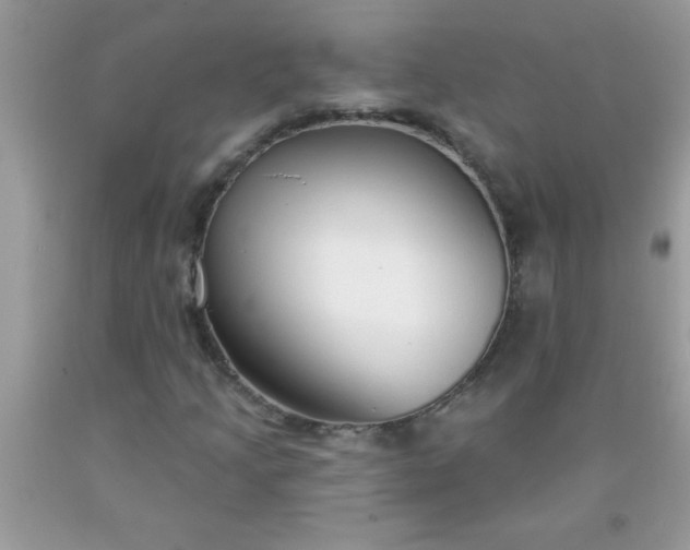 X0000090461205200707272229