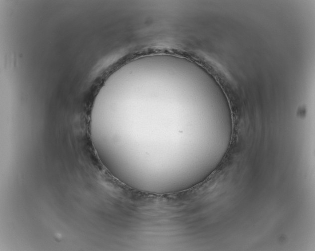 X0000090461207200707272229